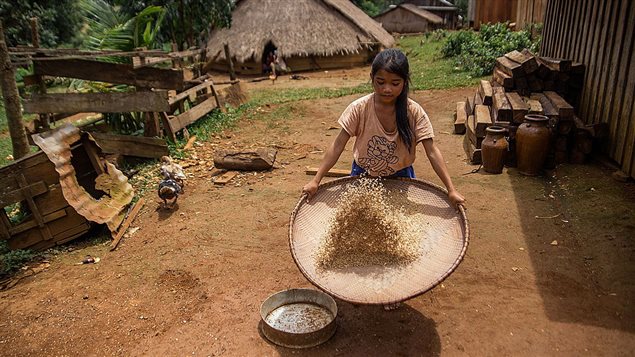 Girls Spend Million More Hours Than Babes Doing Household Chores Every Day UNICEF